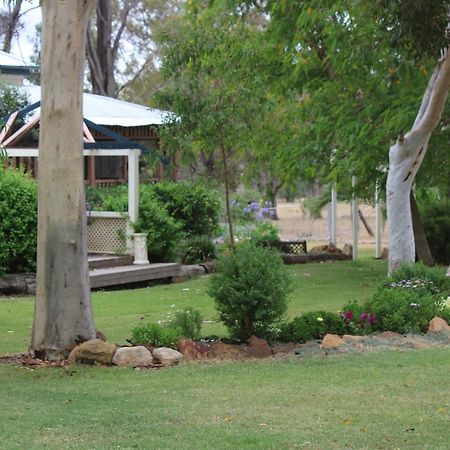 Rosebank Homestead And Farmstay Dalby Exteriér fotografie