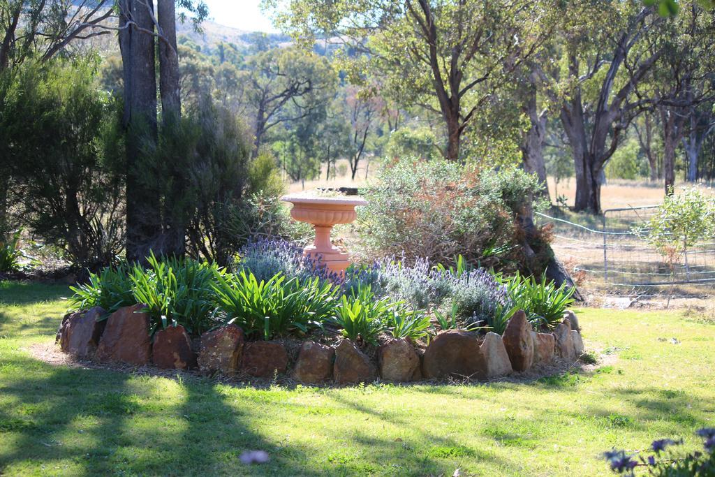 Rosebank Homestead And Farmstay Dalby Exteriér fotografie